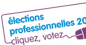 Élections professionnelles : comment voter !